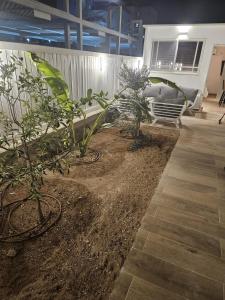 un grupo de plantas sentadas en una habitación en יחידת סאן סנטר באילת, en Eilat