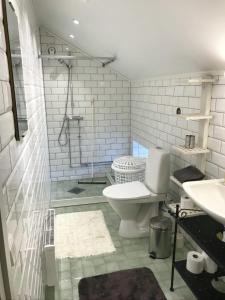 a bathroom with a toilet and a sink at Gamla Badhuset in Borgvik