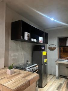 La cuisine est équipée de placards noirs et d'un réfrigérateur en acier inoxydable. dans l'établissement Apartamento G4, à Guatemala