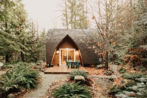 ein kleines Haus mitten im Wald in der Unterkunft 78MBR - Wood Stove - WiFi - Pets Ok - BBQ - Sleeps 6 home in Glacier