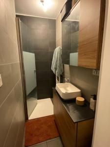 La petite salle de bains est pourvue d'un lavabo et d'une douche. dans l'établissement 2 chambres avec vue sur Lyon, à La Mulatière