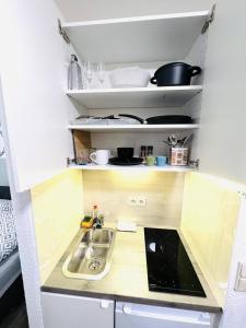 a small kitchen with a sink and a shelf at Sophisticated City Loft in Mainz