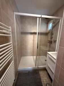 a bathroom with a shower and a bath tub at Appartement 6 places, 3 chambres in La Mulatière