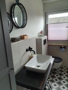 a bathroom with a sink and a mirror and a toilet at NEU! Ferienwohnung Alleweltchen mit Balkon in Nottensdorf