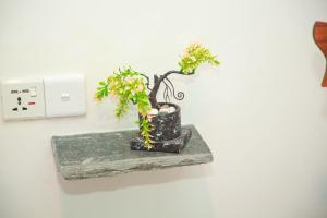 a black vase with plants in it on a wall at Samee Dream Guest in Midigama East