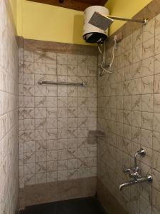 a bathroom with a shower with a toilet and a light at Lemonwood cottage in North Lakhimpur