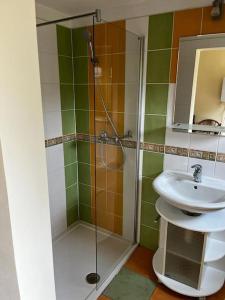 a bathroom with a shower and a sink at Chata se zahradou v Liberci in Liberec