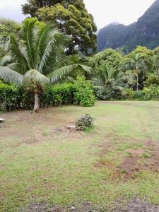 un patio con una palmera y un campo de hierba en Ravehei smile relais 2 moorea en Afareaitu