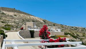a white bench with red flowers on a hill at Milo Milo Suites in Mandrakia