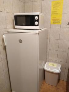 un microondas sobre una nevera en Pokoje Gościnne Murowanica, en Murzasichle
