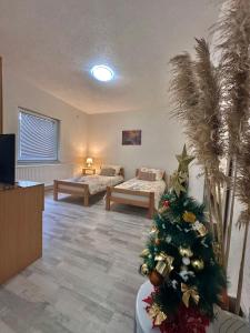 una habitación con 2 camas y un árbol de Navidad en ella en Apartment Rea Ilidža 2 en Sarajevo