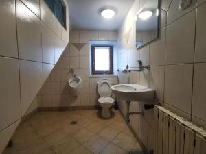 a bathroom with a toilet and a sink and a urinal at Domek u Stocha in Poronin