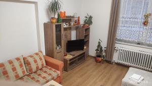 salon z kanapą i telewizorem w obiekcie Penzion PALMA w mieście Frydlant nad Ostrawicą