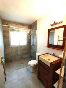 a bathroom with a shower and a toilet and a sink at Grand T1 avec terrasse à 5min des plages et 400m de St Gilles Les Bains in Saint-Gilles les Bains