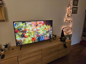 TV a/nebo společenská místnost v ubytování Apartman U2