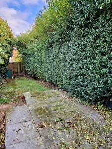 a garden with a stone path in front of a hedge at Cosy Luxury Home next to City Centre with Free Parking - Contractors & Relocators in Coventry