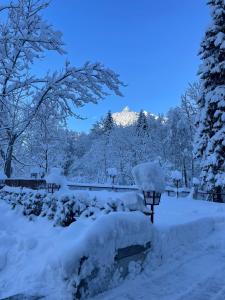 un parque cubierto de nieve con una montaña en el fondo en Gasthof Paluda - Pizzeria, en Dalaas