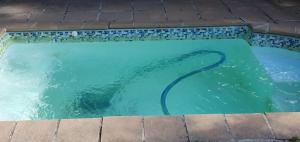 une piscine avec un tuyau dans l'eau dans l'établissement Hout Bay Sea View, au Cap