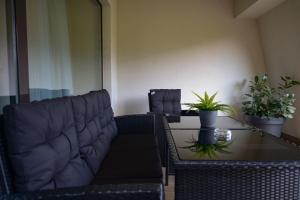 a living room with a couch and a table with plants at Elexus Apartments Poiana Brasov in Poiana Brasov