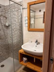 a bathroom with a sink and a shower at Agritur Maso Flonkeri in Bosentino