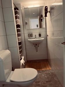 uma casa de banho com um WC e um lavatório em Boutique Hotel Bellevue B&B am Brienzersee Iseltwald Interlaken em Iseltwald