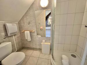 a small bathroom with a shower and a toilet at Logis Hôtel Sully le Château in Saint-Père-sur-Loire