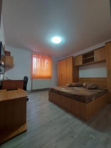 1 dormitorio con 1 cama grande y armarios de madera en Casă centru, en Craiova