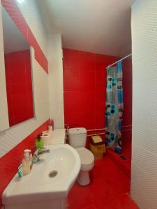 czerwona łazienka z toaletą i umywalką w obiekcie Casă centru w Krajowej