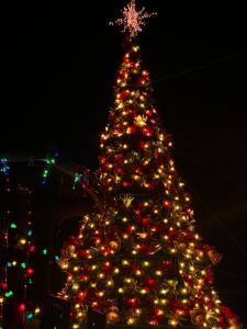 Un gran árbol de Navidad se ilumina por la noche en Casa familiar en Boquete en Boquete