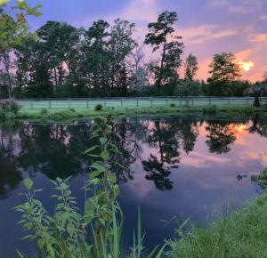 einen Teich bei Sonnenuntergang mit einem Zaun und Bäumen in der Unterkunft Lazy Dog Acres 