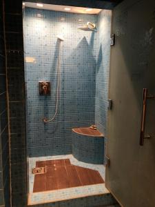 a bathroom with a shower with a toilet and a tub at Luxury apartment in Mohandiseen in Cairo