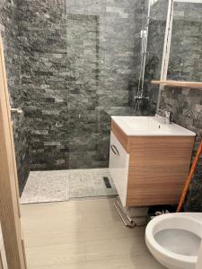 ein Bad mit einer Dusche, einem Waschbecken und einem WC in der Unterkunft Apartament 1 camera Brăila(hipodrom) in Brăila