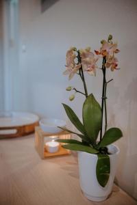 a white vase with a plant on a table at Lavender BnB in East London