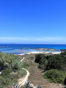 Φυσικό τοπίο κοντά σε αυτό το διαμέρισμα