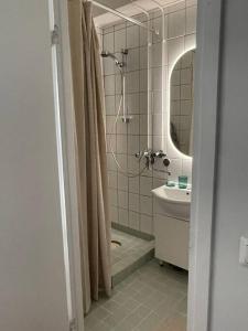 uma casa de banho com um chuveiro, um lavatório e um espelho. em Top floor apt with stunning view 