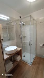 La salle de bains est pourvue d'un lavabo et d'une douche en verre. dans l'établissement Residence Montebel, à Tesero