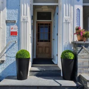 a front door of a blue building with two plants at Fron Haul in Aberdyfi