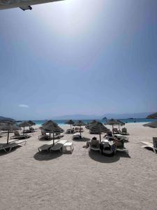 a group of chairs and umbrellas on a beach at Bliss Apartments T0 - Maria (On the beach) in Mindelo