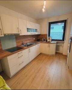 Kuchyň nebo kuchyňský kout v ubytování Ferienwohnung in der fränkischen Schweiz