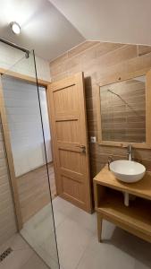 a bathroom with a sink and a glass shower at A Sziget in Izvoare