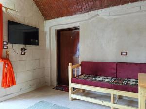 a room with a couch and a tv on a wall at ABU Guest House in Aswan