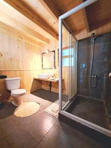 a bathroom with a shower and a toilet and a sink at Cabañas Llifenativo in Futrono