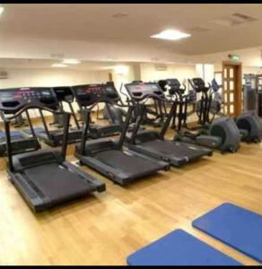 a gym with a row of treadles in a room at Chelsea in London