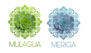 two logos for the mucaya and merica at Meriga in Agulo