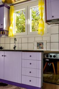 Кухня или мини-кухня в Nest View House
