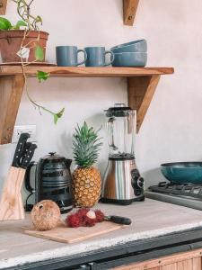 サンタ・テレサにあるEl Gato Rojas Surf Hostelのギャラリーの写真