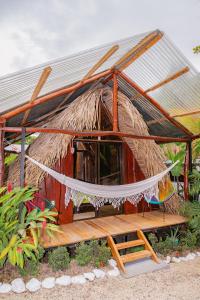 サンタ・テレサにあるEl Gato Rojas Surf Hostelのギャラリーの写真