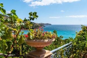 Fotografie z fotogalerie ubytování Dr Spyrou seafront villa v destinaci Petriaí