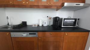 - un comptoir de cuisine avec un four micro-ondes et un évier dans l'établissement OPERA16 Guestrooms, à Budapest