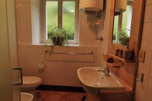 a bathroom with a sink and a toilet and a window at Di Baut in Ovaro